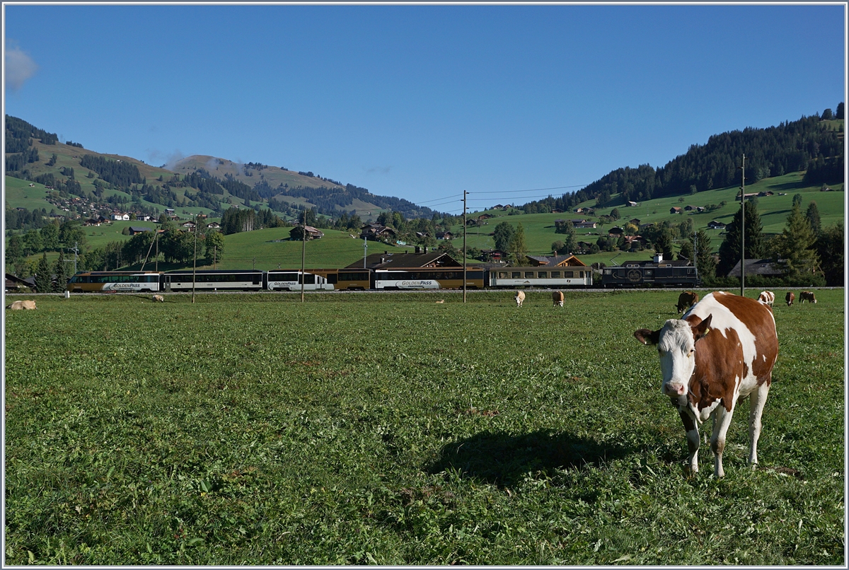 Eine GDe 4/4 mit einem Panoramozug auf dem Weg nach Zweisimmen kurz vor Gstaad. 

3. Okt. 2019