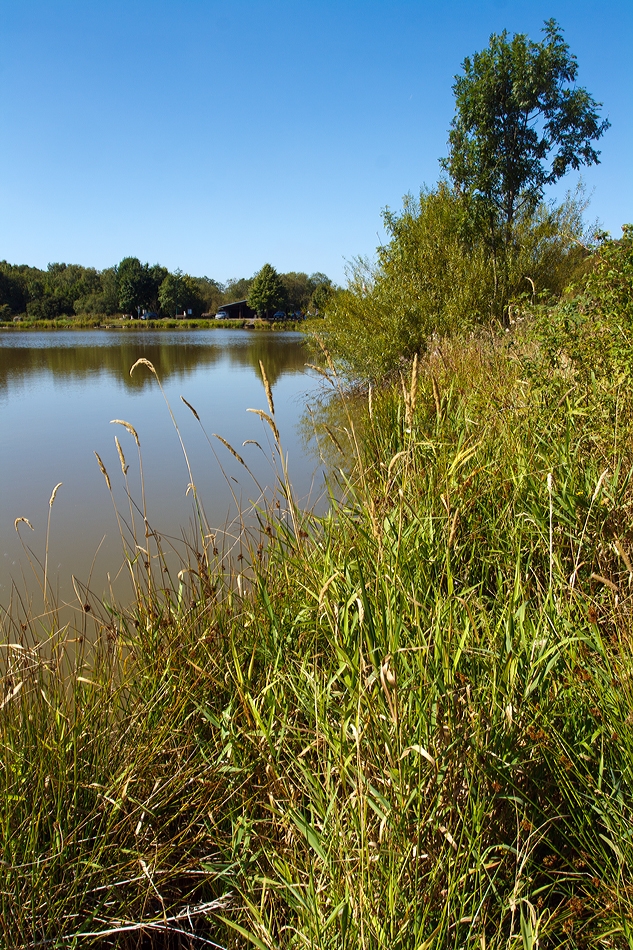 Eine Impression am Elkenrother Weiher (04.09.2013)

Hier htte es mir schwer gefallen von dem Bild was ab zuschneiden.