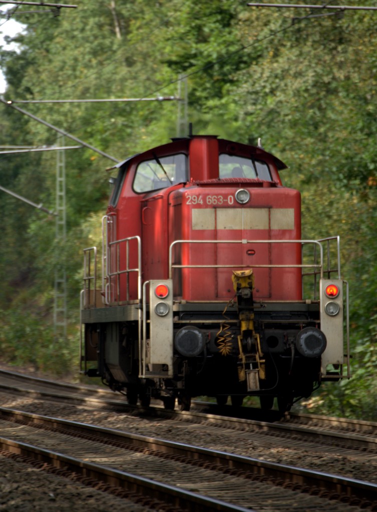 Eine Lok der BR 294 auf der Rampe zwischen Therandt und Klingenberg Colmnitz.
27.09.2013  10:36 Uhr.