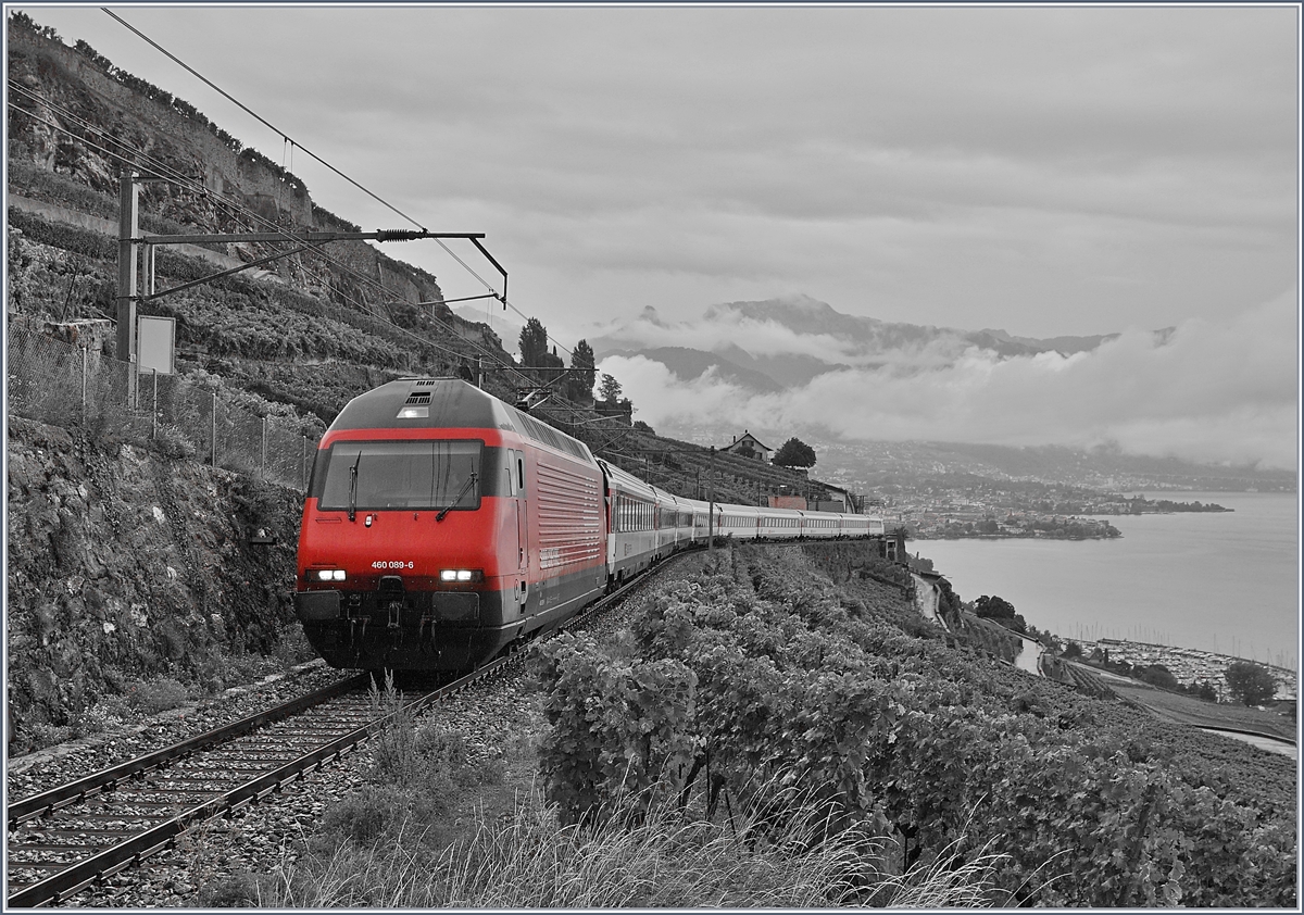 Eine SBB Re  460 ist auf der  Train des Vignes / Weinberg Strecke mit einem umgeleiteten IR 90 unterwegs. 

29. Aug. 2020