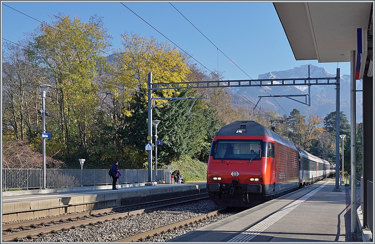 Eine SBB Re 460 fährt mit einem IR90 durch dass Spätherbstliche Burier. 

23. Nov. 2023