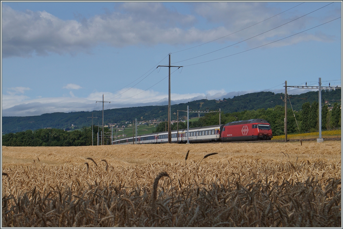 Eine SBB Re 460 mit ihrem IR 1815 von Genève Aéroport nach Brig kurz vor Allaman.
8. Juli 2015
