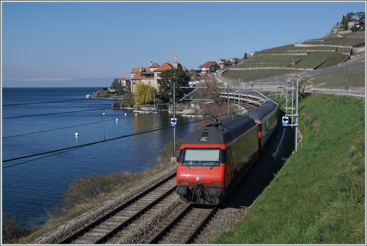 Eine SBB Re 460 ist mit ihrem IR bei Rivaz unterwegs. 

20. März 2021 