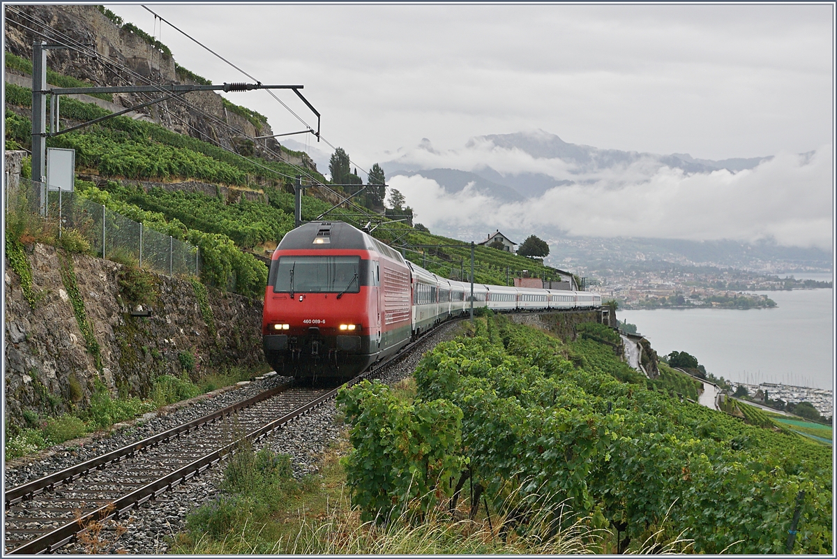 Eine SBB Re 460 mit einem Umleitungszug auf der  Train des Vigens (Rebberg) Strecke kurz vor Chexbres. 

29.08.2020
