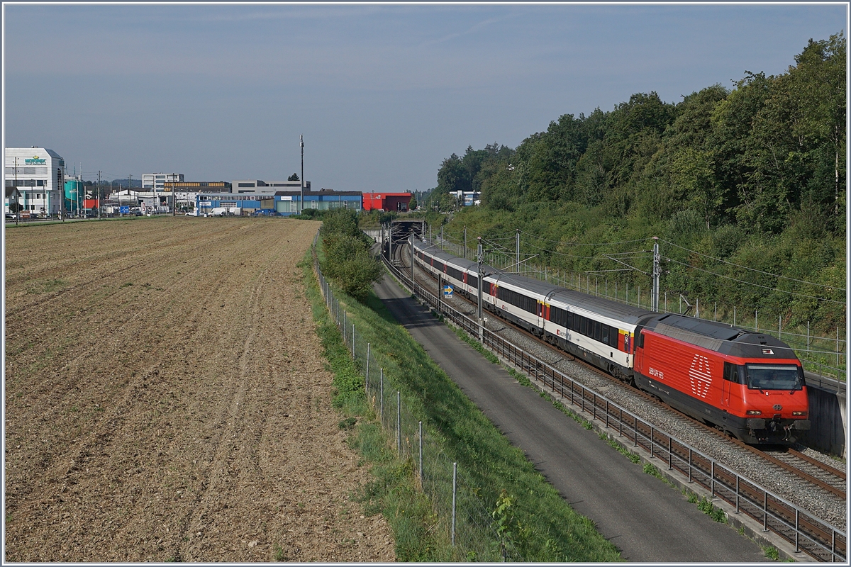 Eine SBB Re 460 ist mit einem IC auf der NBS bei Langenthal unterwegs.

10. Aug. 2020