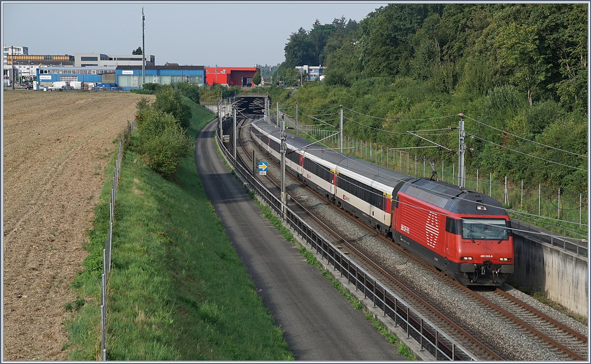 Eine SBB Re 460 ist mit einem IC auf der NBS bei Langenthal unterwegs. 

10. Aug. 2020