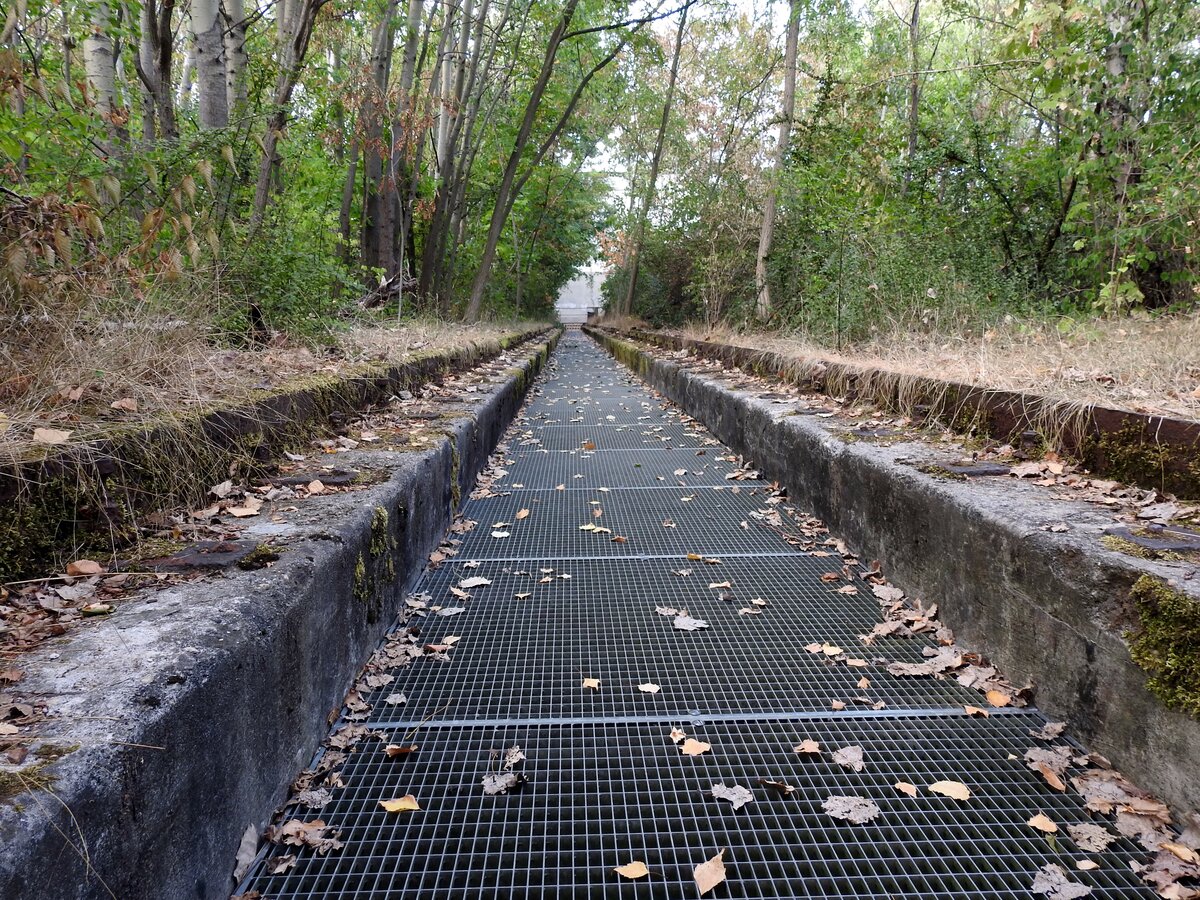 Eine von den vielen Ausschlackgruben (ich konnte mindestens 6 zählen) wurde mit Gitterrosten abgedeckt und somit zum Gehweg umgestaltet. Im Naturpark Südgelände Berlin, ehemals Verschiebebahnhof Tempelhof, am 05.09.2018.