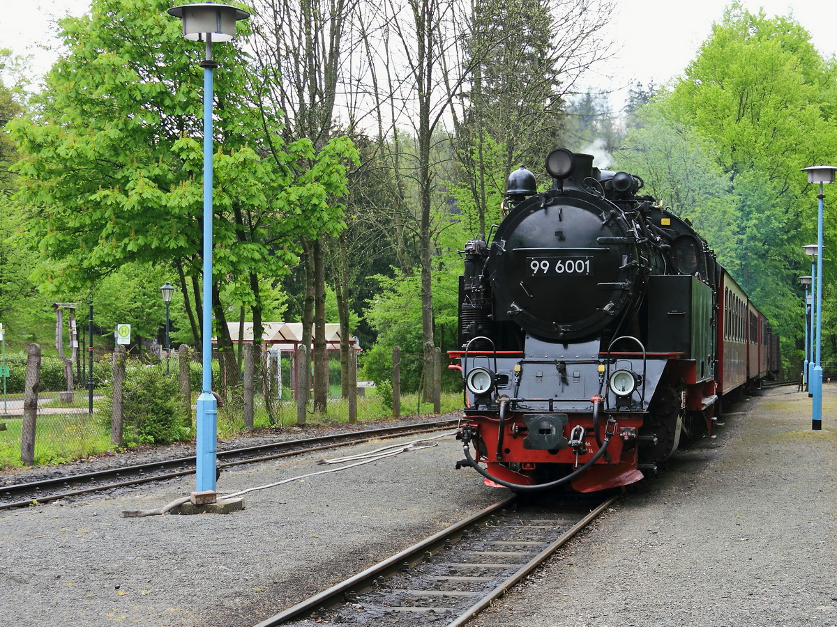 Einfahrt 99 6001 in den Bahnhof Alexisbad am 19. Mai 2017