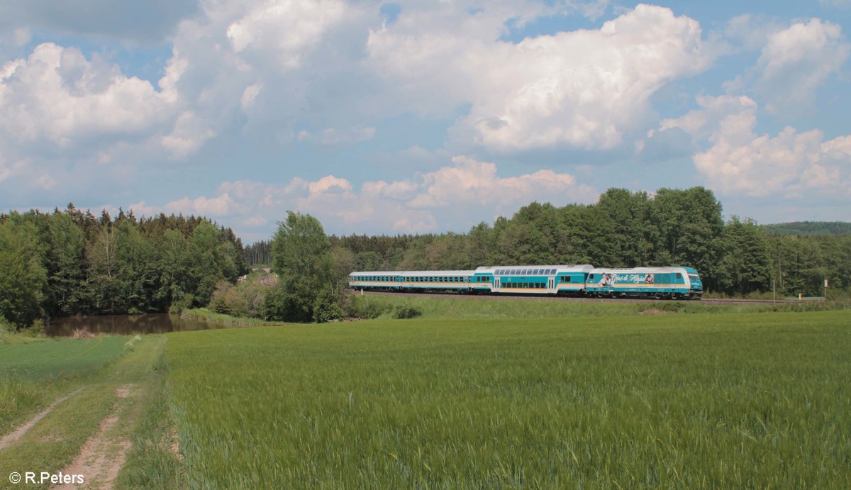 Endlich auch auf Chip gebannt, die seit ein paar Tagen existierende neue Werbelok 223 072  Griaß di Allgäu  zieht den ALX84106 Hof - München bei Oberteich durch die Kurve. 26.05.18