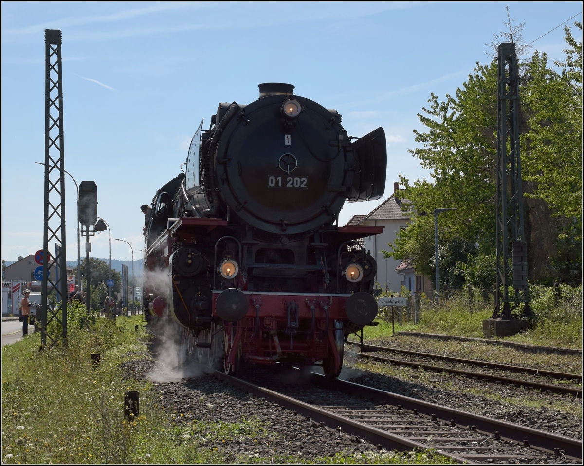 Endlich wieder Züge auf dem Schweizerbähnle (Etzwilen-Singen). 

Die letzte Hürde für den ersten Personenzug nach über 50 Jahren. Das Einfahrtsignal nach Singen. Nachdem es die Einfahrt noch um ein paar Minuten behindert hatte, konnte es nun losgehen in den Bahnhof. Doch aufgeben wollte es nicht, so gab es noch einen Zwangshalt. Singen, August 2020.