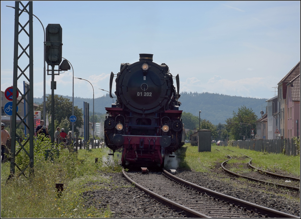 Endlich wieder Züge auf dem Schweizerbähnle (Etzwilen-Singen). 

Die letzte Hürde für den ersten Personenzug nach über 50 Jahren. Das Einfahrtsignal nach Singen. Nachdem es die Einfahrt noch um ein paar Minuten behindert hatte, konnte es nun losgehen in den Bahnhof. Singen, August 2020.