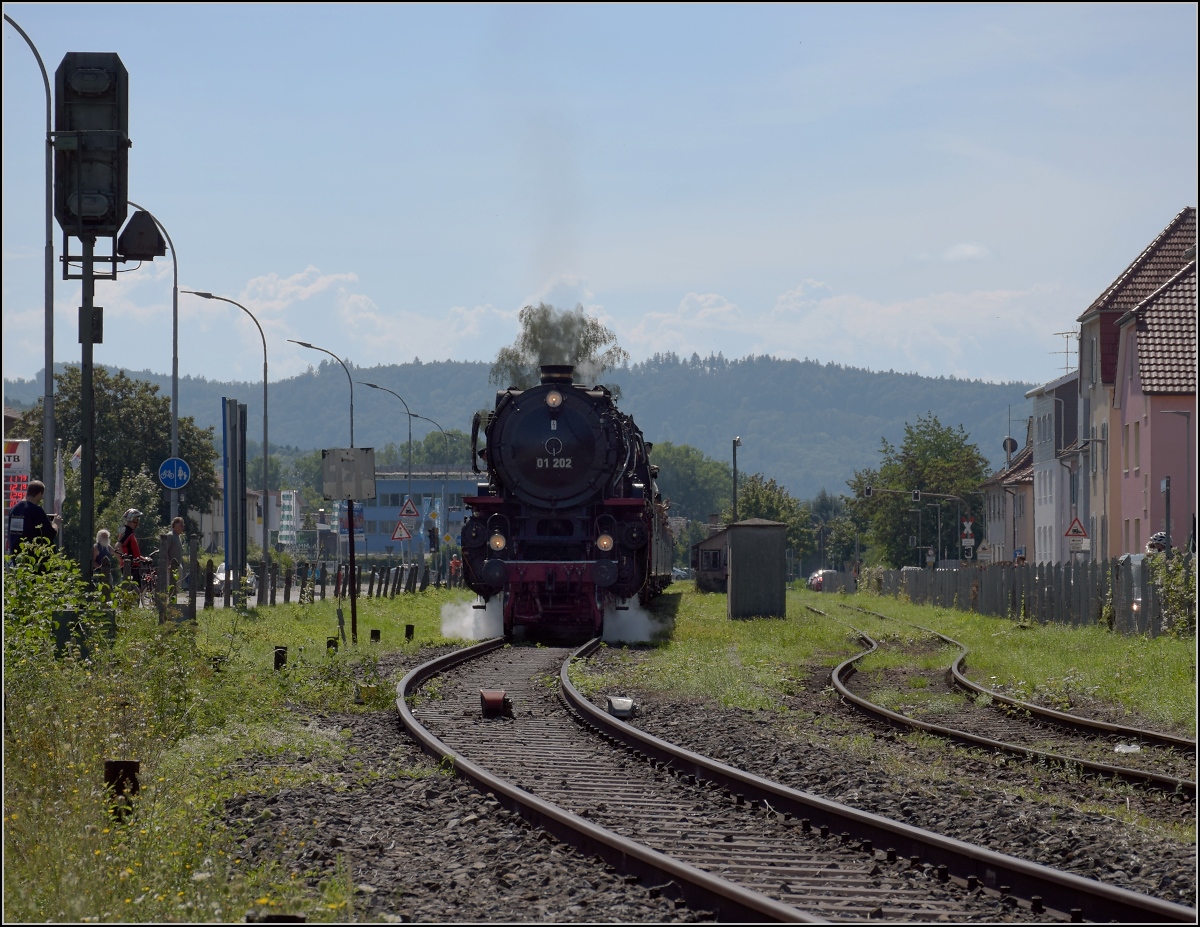 Endlich wieder Züge auf dem Schweizerbähnle (Etzwilen-Singen).

Die letzte Hürde für den ersten Personenzug nach über 50 Jahren. Das Einfahrtsignal nach Singen. Ganz offensichtlich eingerostet, verhinderte es die Einfahrt noch um ein paar Minuten. Singen, August 2020.