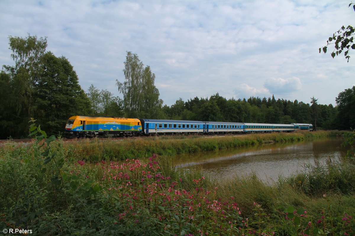 ER20 013 alias Bodo zieht den ALX84111 München - Hof südlich von Wiesau. 29.07.18