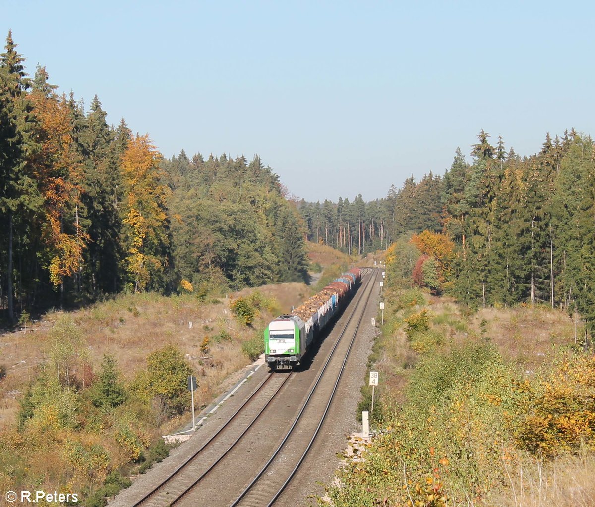 ER20 alias 223 101 zieht kurz vor Oberteich ein Holzzug von Cheb nach Wiesau. 12.10.18