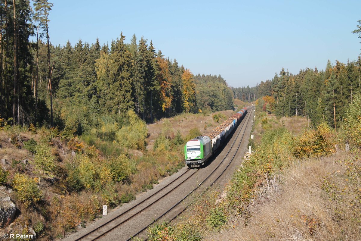 ER20 alias 223 101 zieht kurz vor Oberteich ein Holzzug von Cheb nach Wiesau. 12.10.18