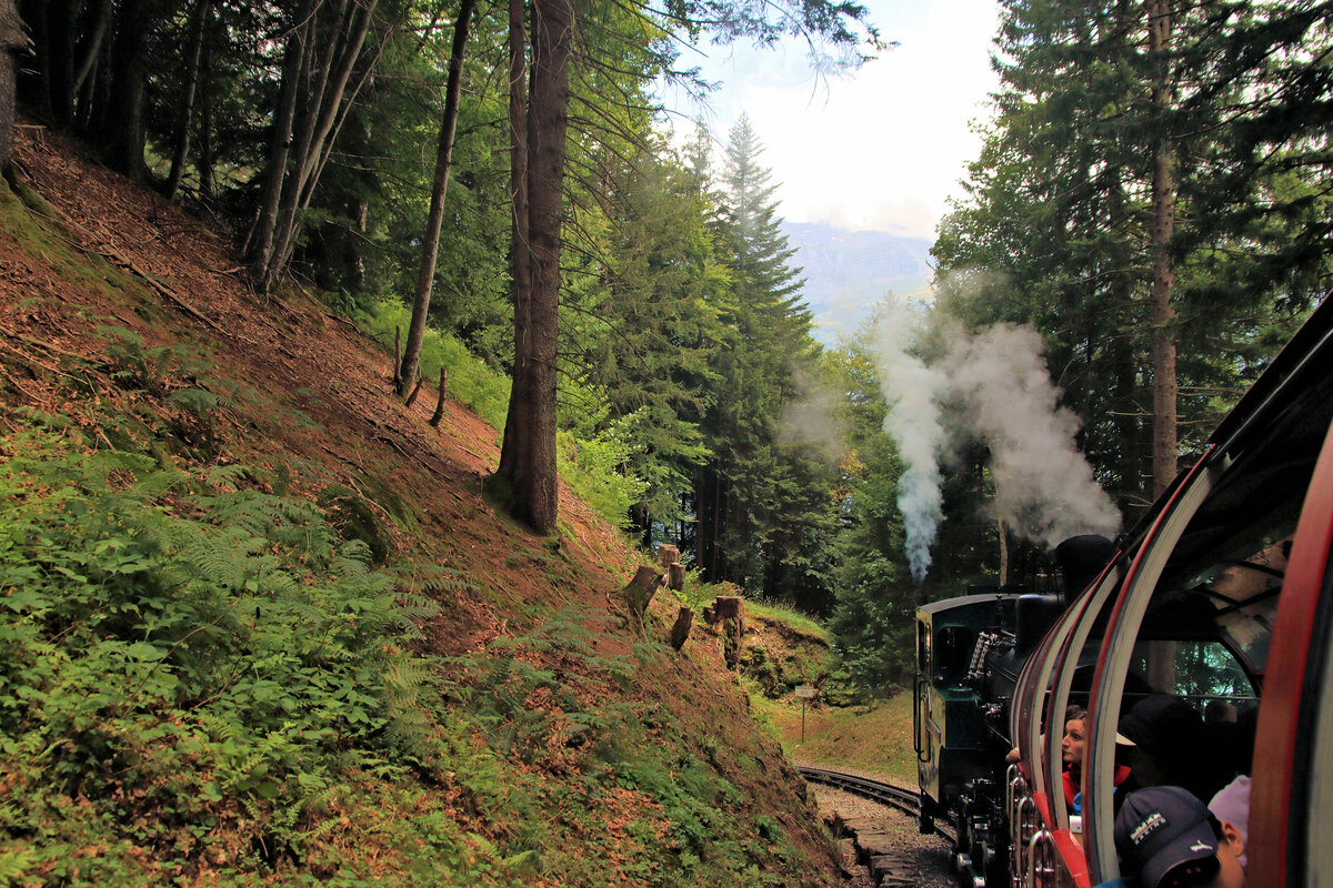 Es ist ausserordentlich schwierig, die Brienz Rothorn Bahn im unteren Abschnitt Brienz - Planalp aufzunehmen, da es grösstenteils keine Fusswege gibt, die an die Bahnstrecke heranführen. Zudem ist das Gelände fast überall gefährlich. So bleibt fast nur die Möglichkeit, aus dem Zug zu photographieren. Hier beim Abstieg hinter Lok 12, oberhalb des Planalpfluh-Tunnels. 3.August 2023   