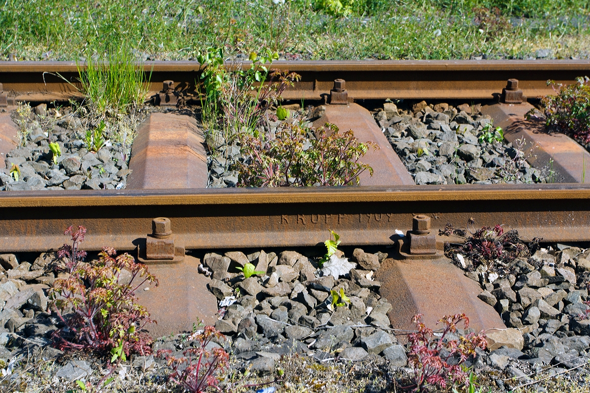 Es gibt noch sehr alte Gleise im Bahnhof Betzdorf/Sieg, hier im Abstellbereich (Hellertalbahn), diese S 49 Schiene wurde 1909 bei Krupp gewalzt (aufgenommen 19.04.2014).