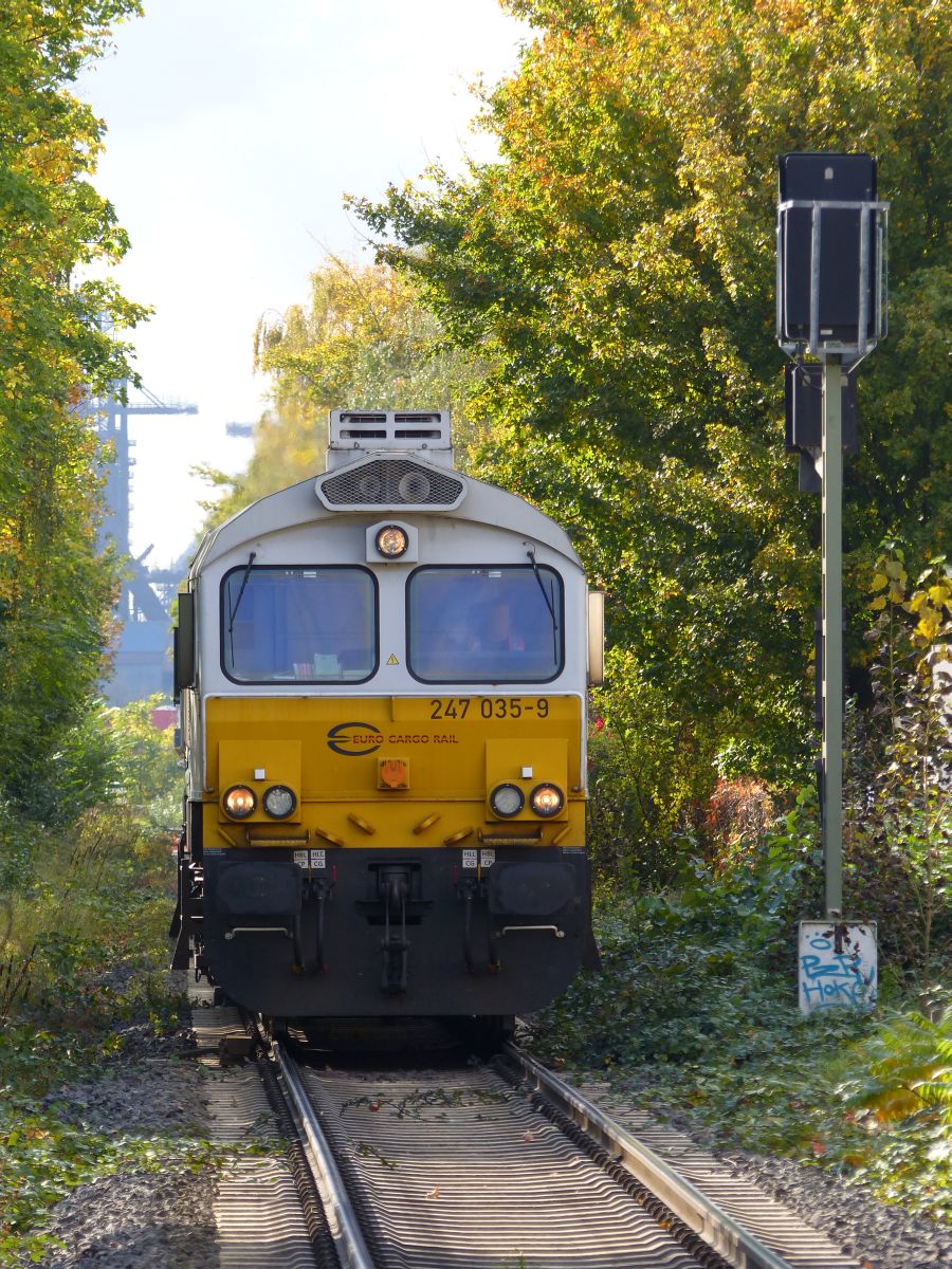 Euro Cargo Rail Diesellok 247 035-9 Wanheim Angerhausen – Duisburg. Atroper Strae, Duisburg 13-10-2017.

Euro Cargo Rail dieselloc 247 035-9 Wanheim Angerhausen – Duisburg. Atroper Strae, Duisburg 13-10-2017.