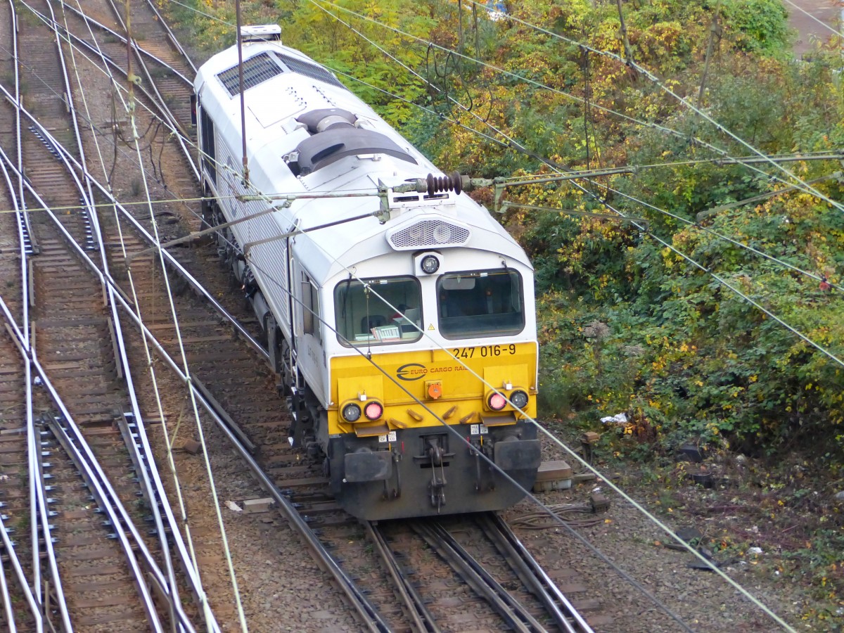 Euro Cargo Rail (ECR) Diesellok 247 016-9 bei Oberhausen Osterfeld Sd, Wittekindstrasse, Oberhausen 30-10-2015.

Euro Cargo Rail (ECR) dieselloc 247 016-9 bij Oberhausen Osterfeld Sd, Wittekindstrasse, Oberhausen 30-10-2015.