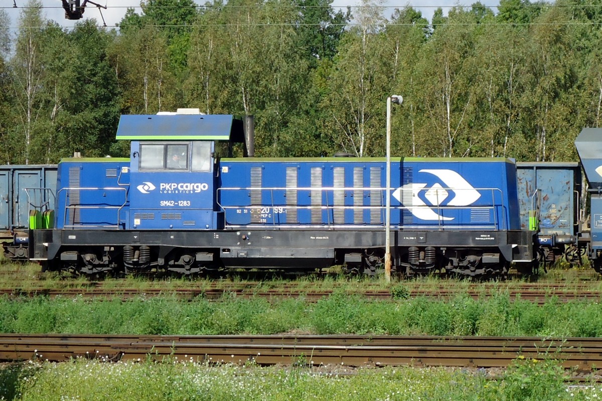 Flankensch�ss von PKP SM42-1283 in Wegliniec am 23 September 2014.