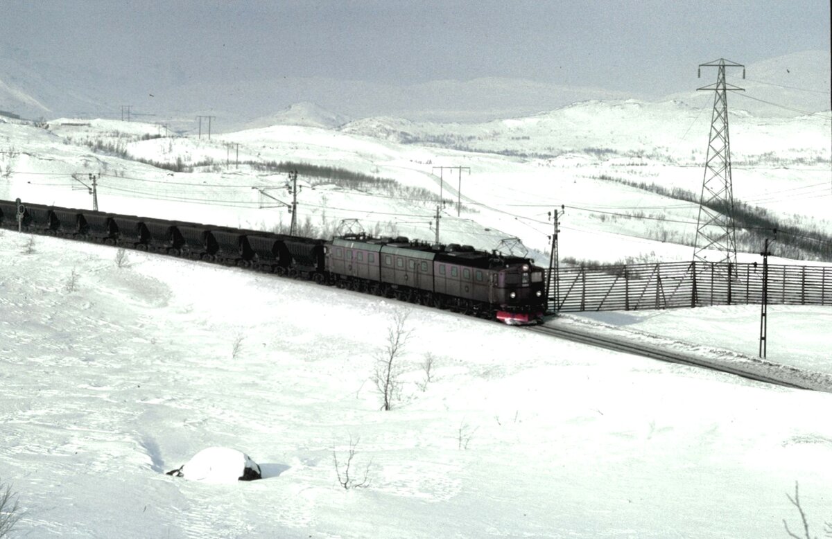 Foto von Kenth Öhlin in Sammlung von Karl Sauerbrey: SJ Dm 3 Nr.1203 mit Leerzug bei Narvik-Vasijaure im April 1984.