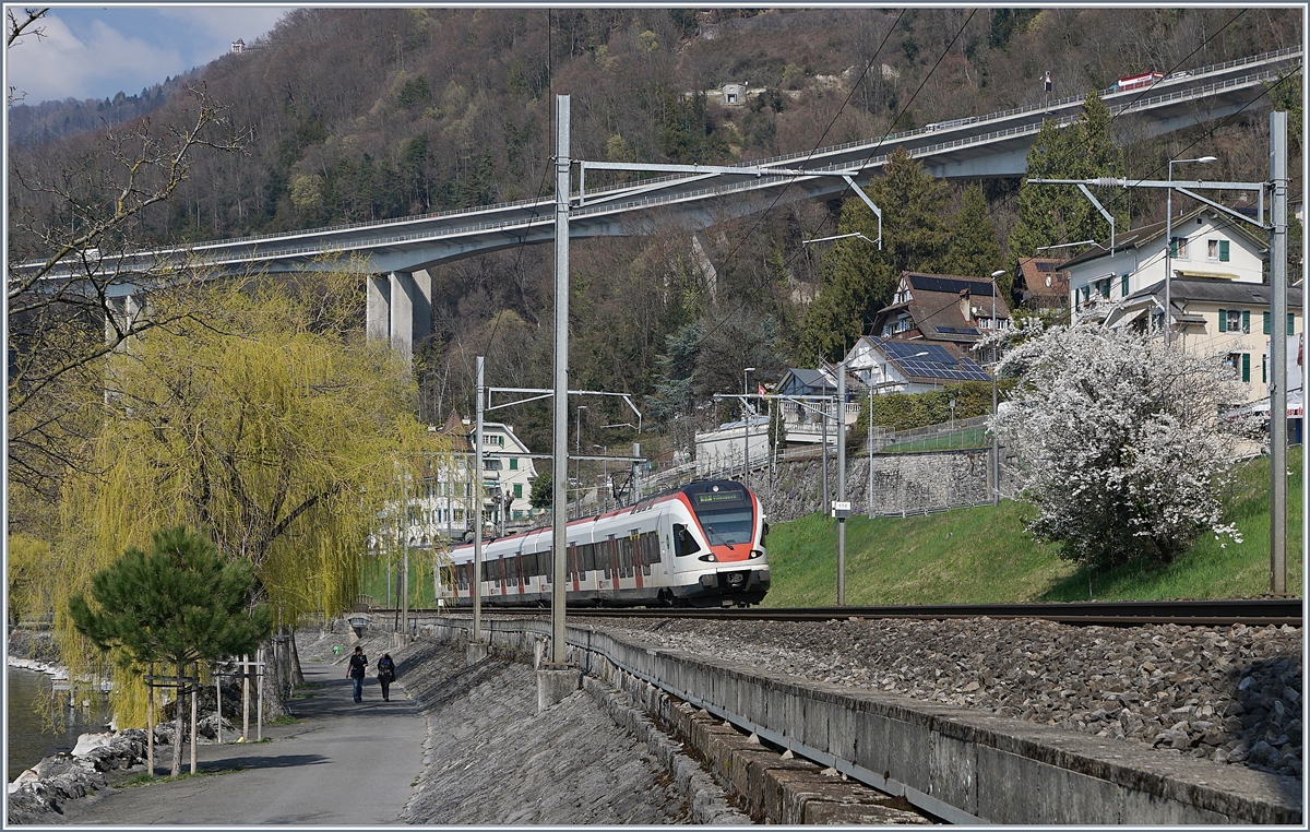 Frühling am Genfersee bei Villeneuve; ein Flirt wird in Küzre sein Ziel erreichen. 

28. März 2019