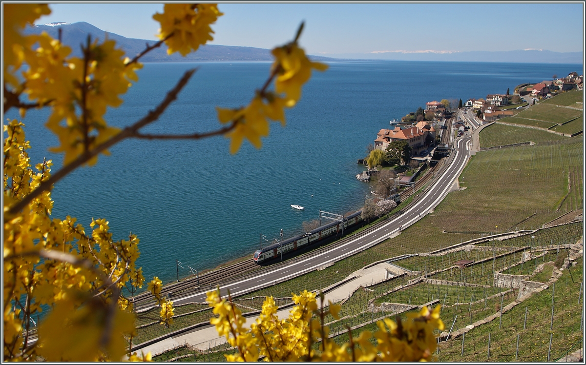 Frühling im Lavaux: ein RABe 511 als RE 3217 von Genève nach Vevey kurz nach Rivaz.
6. April 2015