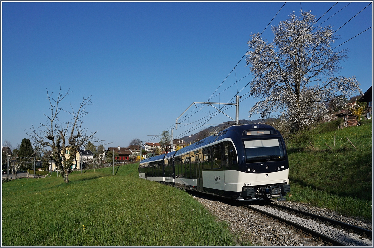 Frühling in St-Légier; inzwischen gehören die GTW ABeh 2/6 zum gewohnten Bild.
3. April 2017