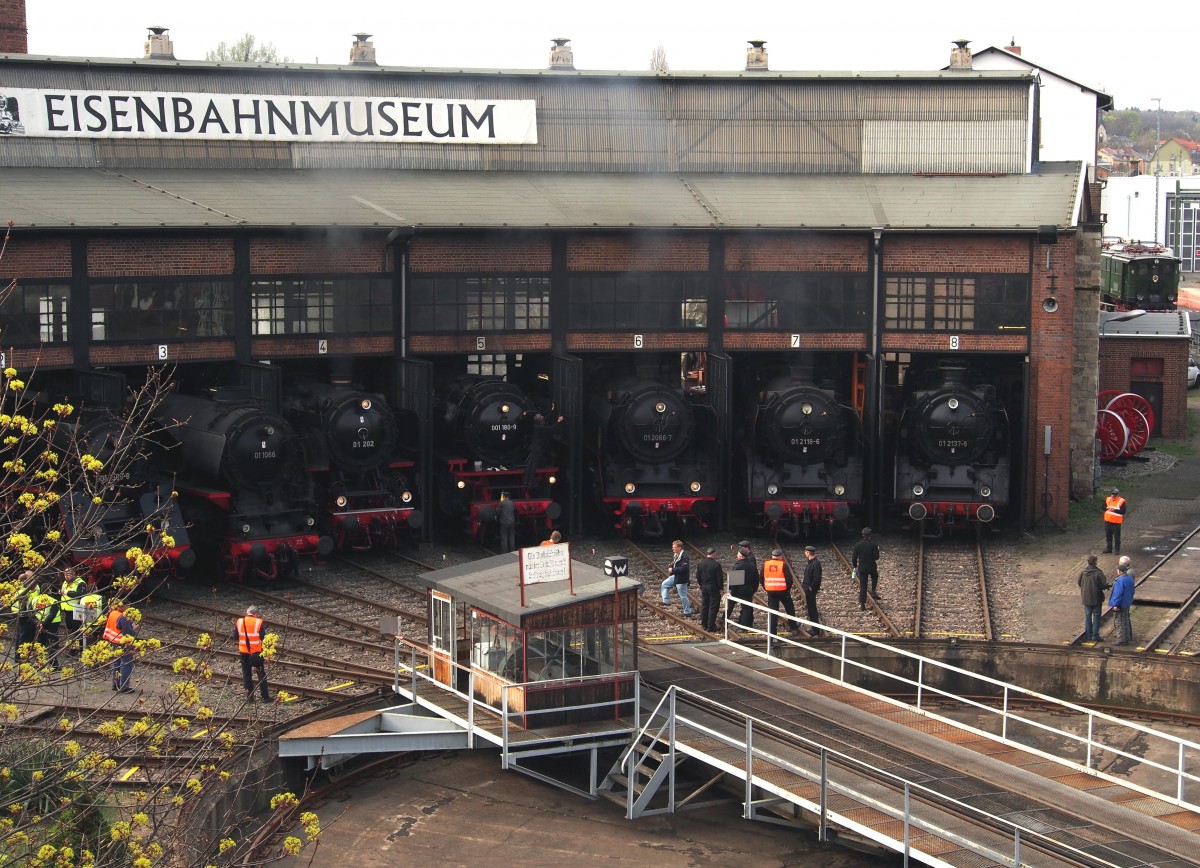Gleich sechs 01-Dampfloks sind im Schuppen des Bw Dresden Altstadt beim 7. Dampfloktreffen zu sehen, eine ist eine 01.10, die ancderen 01. Es ist kurz vor Beginn der Veranstaltung, der 17.04.2015 um 9:35Uhr.