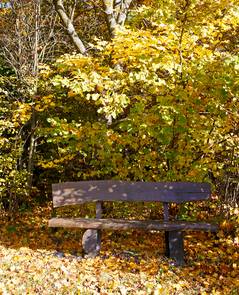 
Goldener Herbst....(speziell für Jeanny)....
Eine Oma-Bank zum Verweilen, zwischen Friedewald und Langenbach am 27.10.2015.
