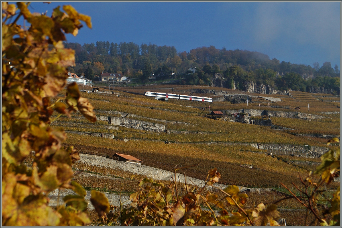 Herbst im Lavaux ein Domino als S31 bei Chexbrexs.
2. Nov. 2014