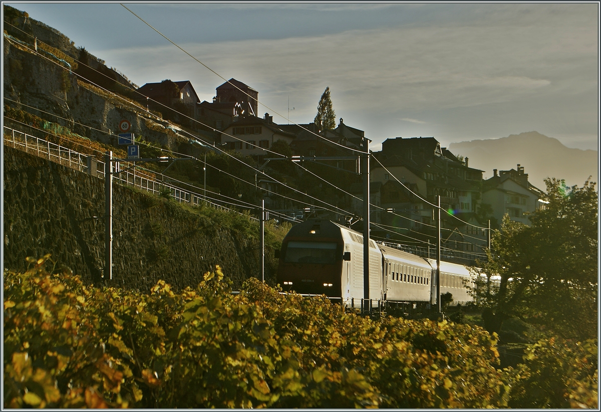 Herbst im Lavaux: Eine SBB Re 460 mit einem IR bei St-Saphorin.
28. Okt. 2014