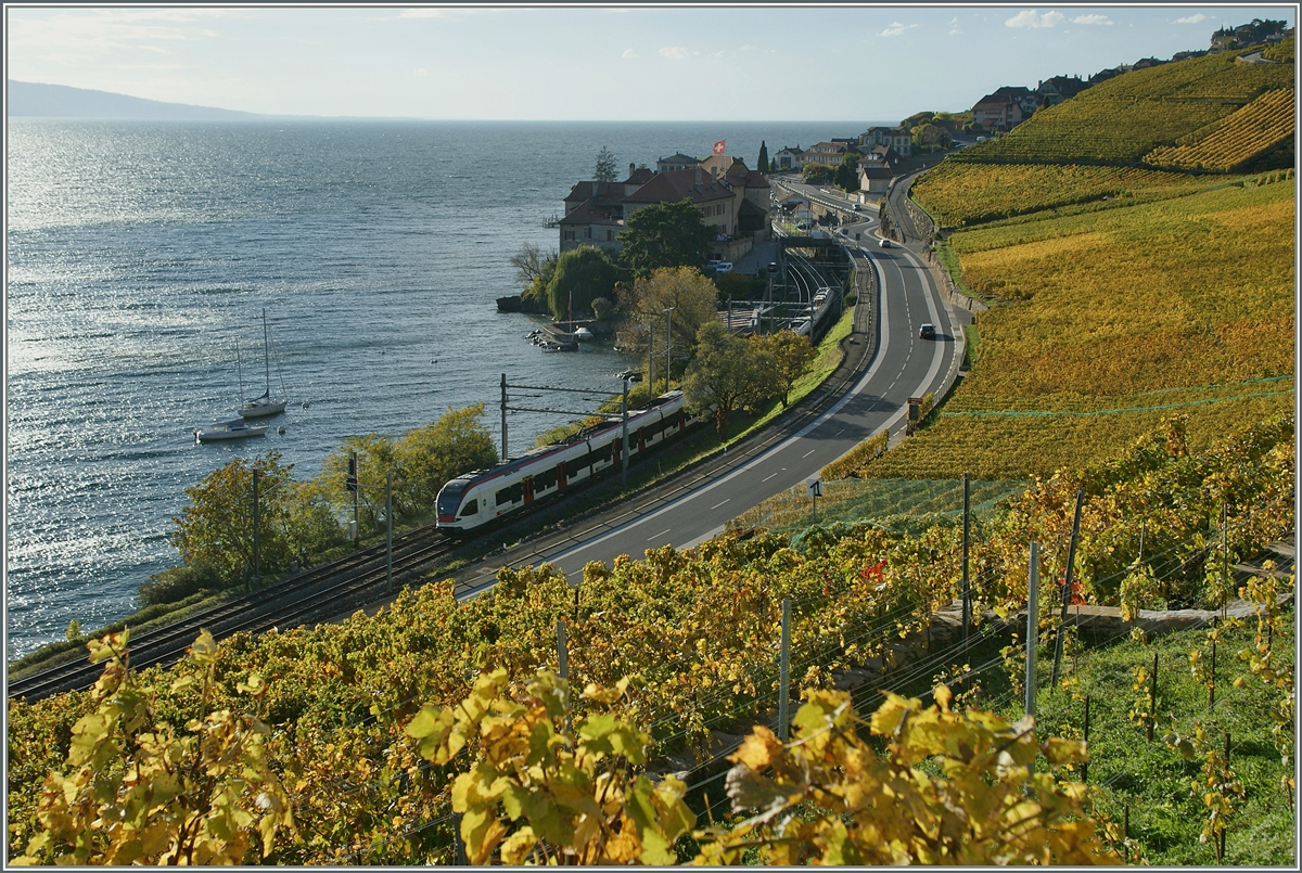 Herbst im Lavaux: Zwei Flirts auf dem Weg nach Villeneuve kurz nach Rivaz.
28. Okt. 2014 