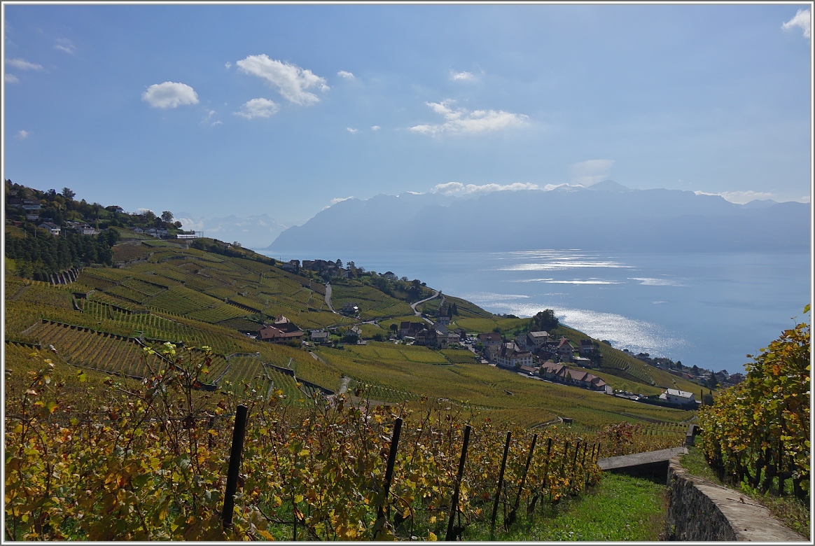 Herbstliches Ambiente im Lavaux.
(23.010.2014)