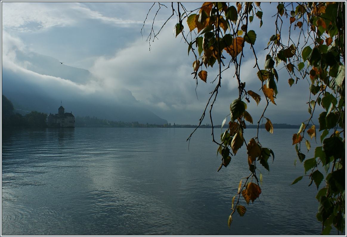Herbststimmung am Château de Chillon.
(22.10.2013)