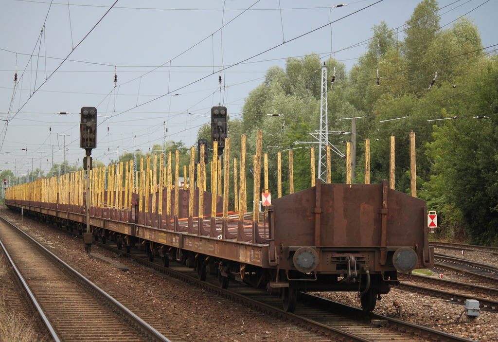 Holzzug von Stendal-Niedergrne nach Rostock-Bramow bei der Einfahrt im Bahnhof Rostock-Bramow Zuglok war 193 812-5 der Firma SETG.07.08.2015