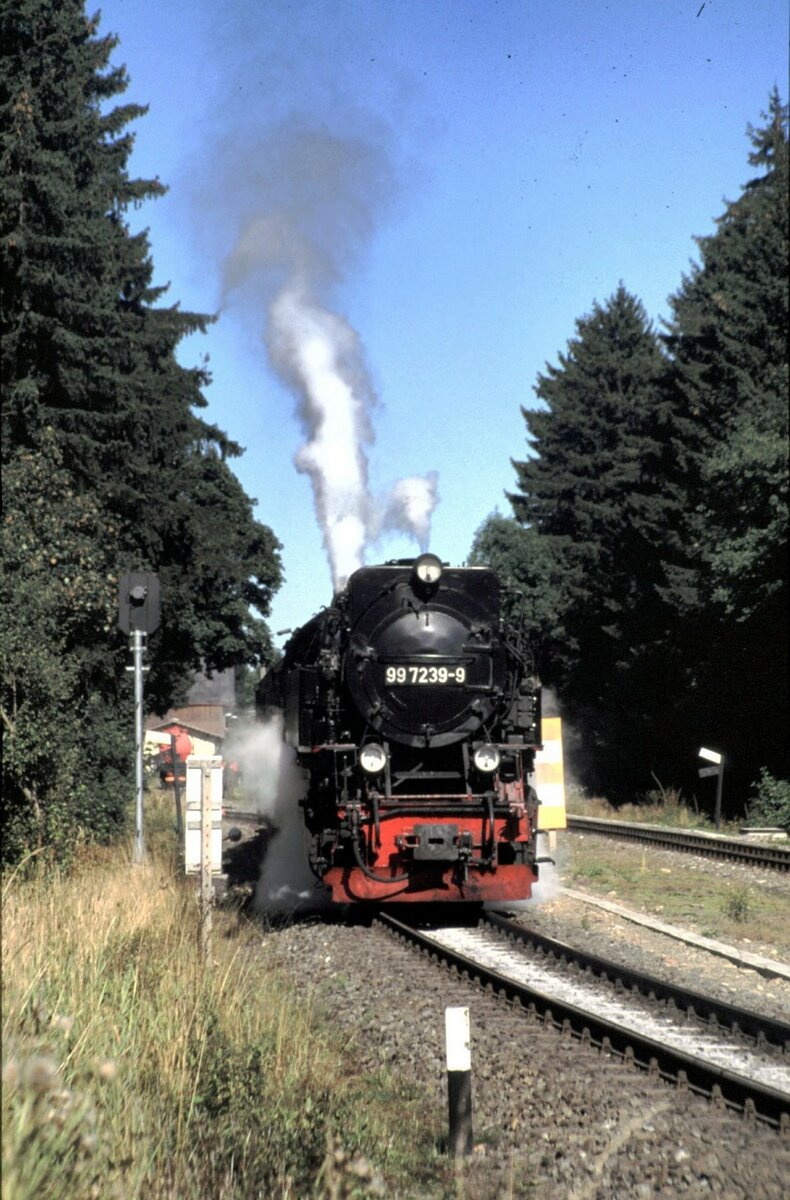 HSB 99 7239-9 in Drei Annen Hohne am 04.09.1999.