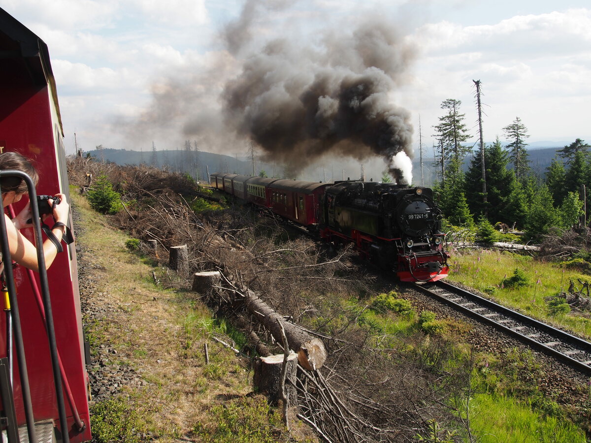 HSB 99 7241-5 auf dem Weg zum Brocken, Ausweichstelle Goetheweg am 27.07.2019.