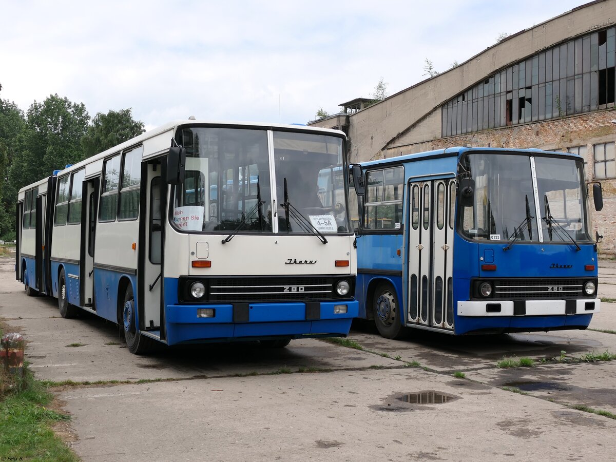 Ikarus 280 vom Technikmuseum Pütnitz (exex Kapos Volán Zrt. (BY 64-60), ex Kaposvári Közlekedési Zrt. (BRS-306)) und Ikarus 280 vom Technikmuseum Pütnitz (exex Verkehrsgesellschaft Görlitz-Niesky mbH, ex Kaposvári Közlekedési Zrt. (CCT-434)) in Pütnitz.