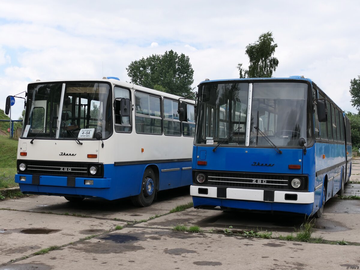 Ikarus 280 vom Technikmuseum Pütnitz (exex Kapos Volán Zrt. (BY 64-60), ex Kaposvári Közlekedési Zrt. (BRS-306)) und Ikarus 280 vom Technikmuseum Pütnitz (exex Verkehrsgesellschaft Görlitz-Niesky mbH, ex Kaposvári Közlekedési Zrt. (CCT-434)) in Pütnitz.