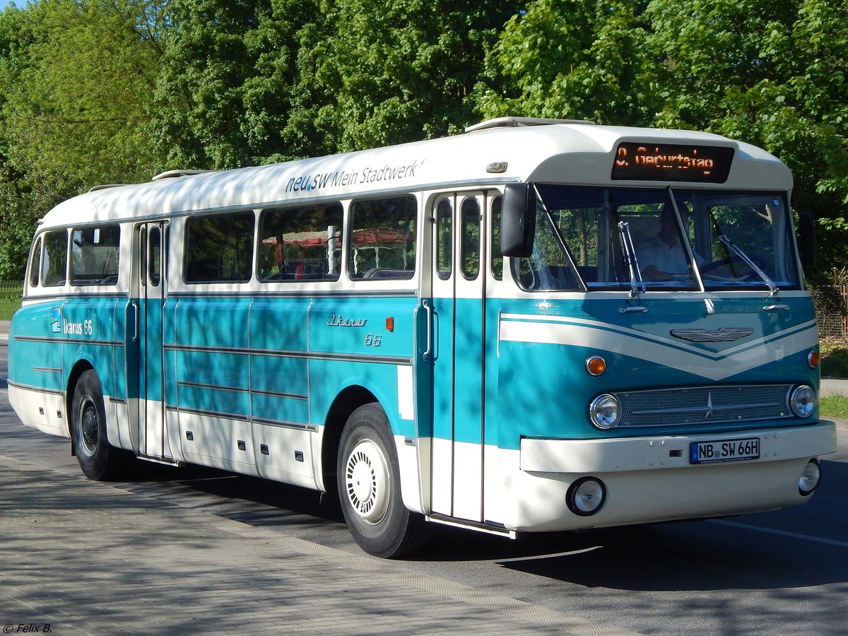 Ikarus 66 der Neubrandenburger Verkehrsbetriebe in Neubrandenburg.