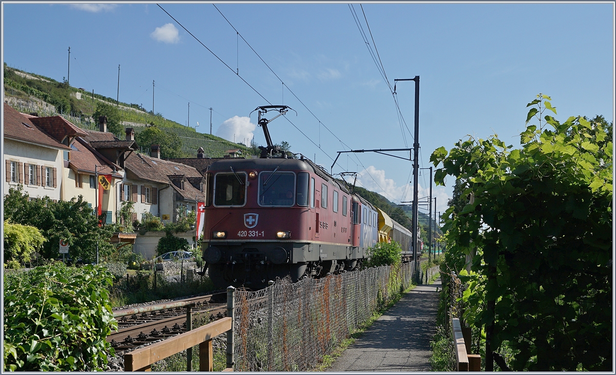 Im Gegenlicht fotografiert: Die SBB Re 420 331-1 und eine weitere mit einem Güterzug Richtung Neuchâtel bei Ligerz. 

14. August 2019