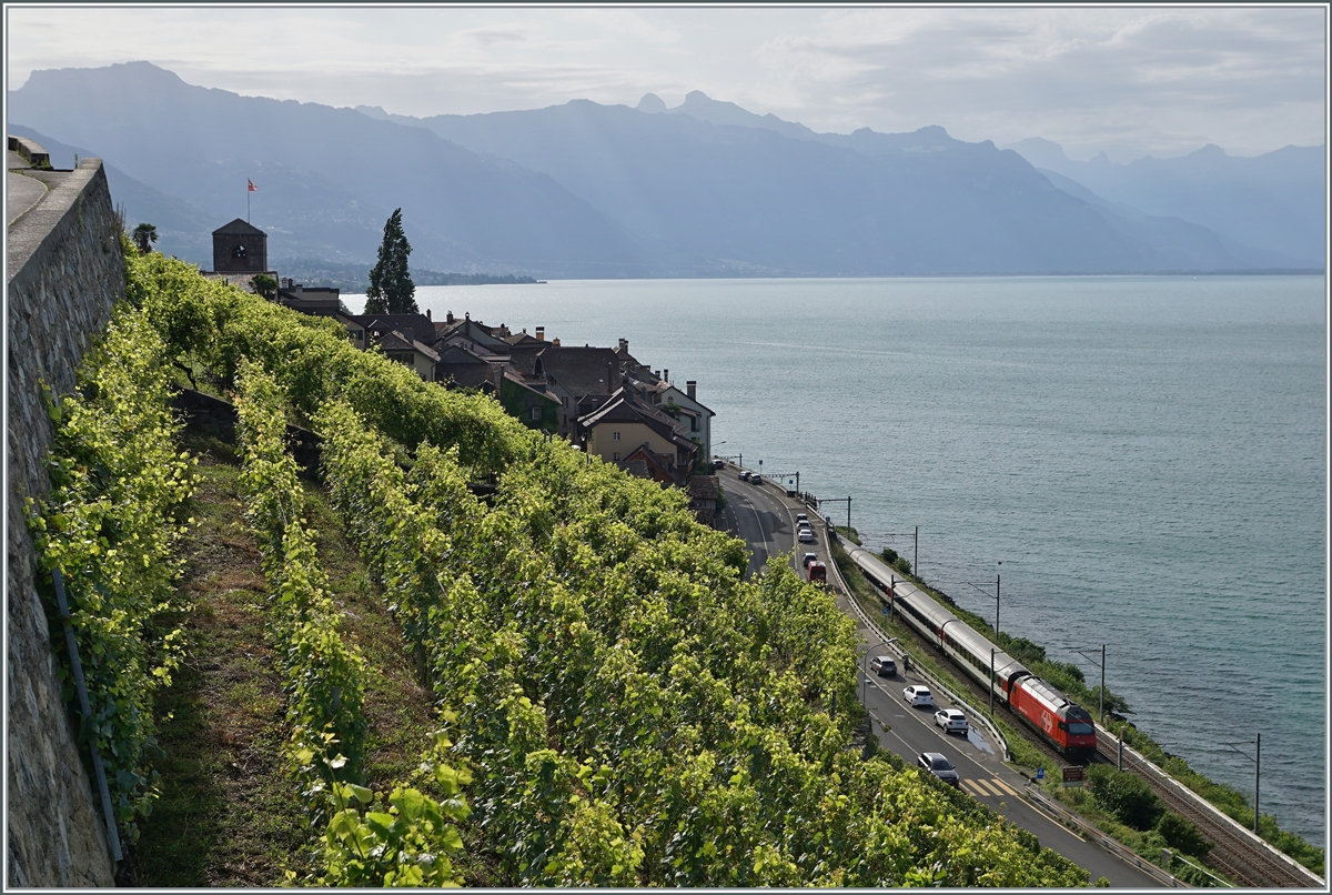 Im Lauvaux, bei St-Saphorin, schiebt eine SBB Re 460 ihren IR in Richtung Brig. 

13. Aug. 2021