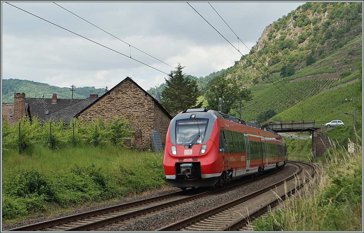 Im wunderschen Mosel-Tal fhrt ein  Hamster  bei Hatzenport Richtung Koblenz.
21. Juni 2014