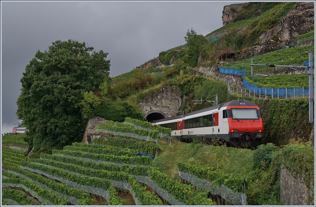 Impressionen vom nicht so gelungenen ersten  Umleitungswochenende  über die  Train des Vignes  Strecke infolge baubedingter Streckensperrung Vevey- Lausanne. 

Es läuft wie geschmiert, und das ist gerade das Problem, ein Blick auf die EXIF-Daten zeigt, dass der Zug weit weniger rasch an mir vorbeigleitet, als das Bild glauben machen will. Als vor der Eröffnung des LBT hin und wieder Lötschberg-Züge via Chexbres umgeleitet wurden, wurde im Bedarfsfall auf der 40 Promille Strecke Veyey - Puidoux-Chexbres Vorspann geleistet. Erfahrung und Wissen, welches in den letzten dreizehn Jahren scheinbar abhanden gekommen ist und von erneut fähigen Leuten an der Spitze nicht so von heute auf morgen wieder hergezaubert werden kann. Die SBB Re 460 089-6 quält sich ohne Sand mit dem RE 30630 zwischen Vevey und Chexbres im übereilten Schritttempo die 38 Promille Steigung hinauf; unfreiwillige Endstation des Zuges etwas zweihundert Meter später: Lavaux.

29. August 2020