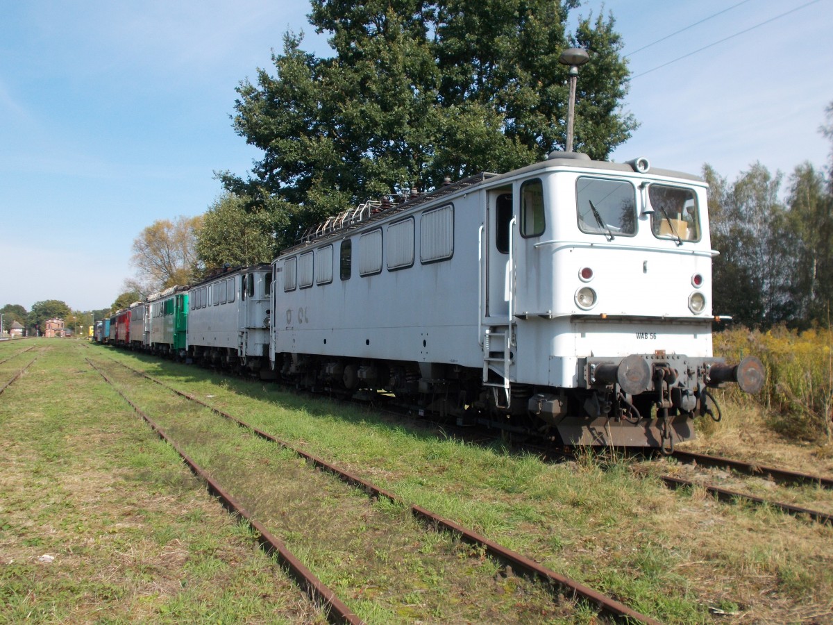 In Meyenburg stehen sechs ehemalige DR 142er die zum Teil auch noch ihre Schweizer Werbung tragen.Aufnahme am 28.September 2014.