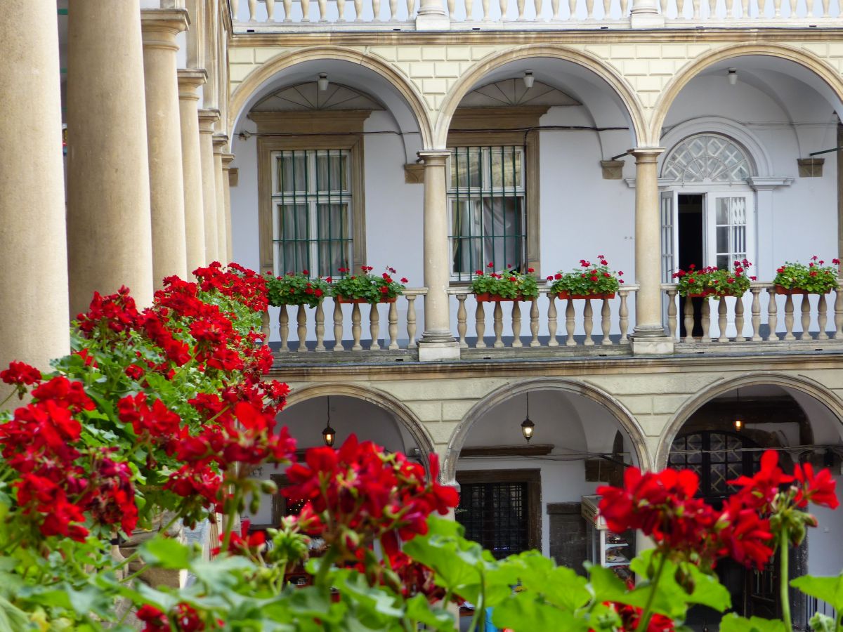 Italienische Hof (Palast kornyakta). Rynok Platz, Lviv 08-06-2017.

Italiaanse binnenplaats Rynok plein, Lviv, Oekrane 08-06-2017.