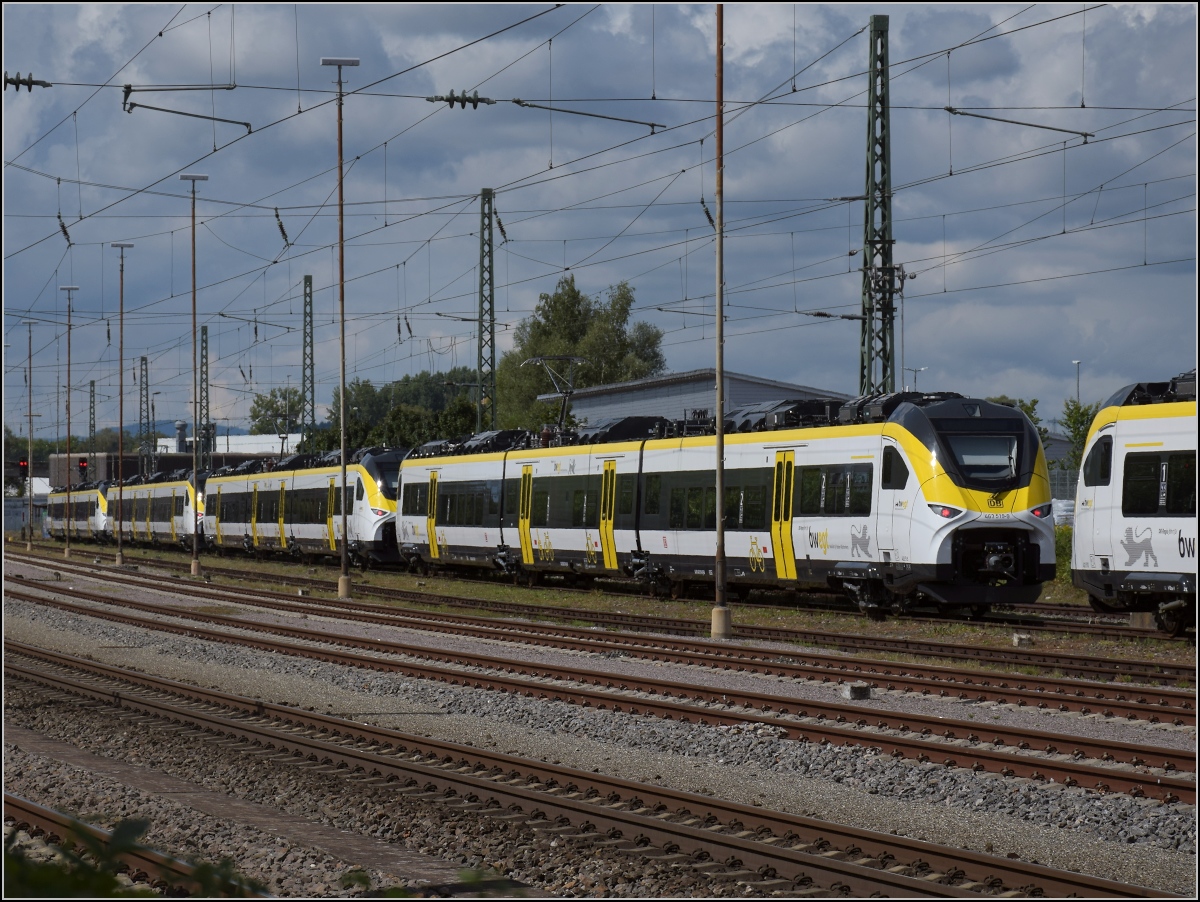 Karpfenzucht in Radolfzell. Ursprünglich drei Karpfen haben sich bereits auf 8 Exemplare vermehrt. 463 019, 017, 014 und 015 im Güterbahnhof, die Nase steckt noch 463 010 ins Bild. Am Bodensee großgezogen und wohl bald am Oberrhein ausgesetzt... August 2020.