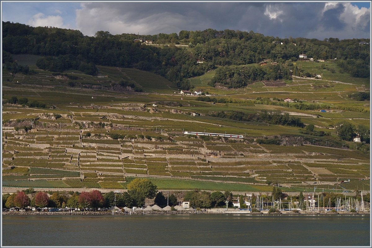 Klein, aber mitten im Bild ist ein Domino-Zug auf der Train des Vignes Strecke (Weinbergstrecke) oberhalb vom nahen St-Saphorin zu erkennen. 

1. Okt. 2019