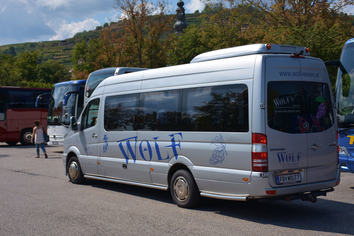 Kleinbus Mercedes Sprinter von Wolf Reisen aus �sterreich 2017 in Krems.